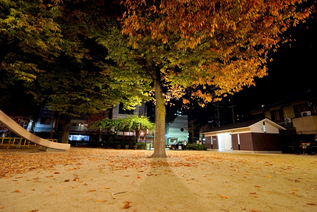 近所の≪綾西公園≫と≪SABAR≫と≪週末の予約状況≫