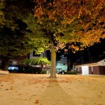 近所の≪綾西公園≫と≪SABAR≫と≪週末の予約状況≫