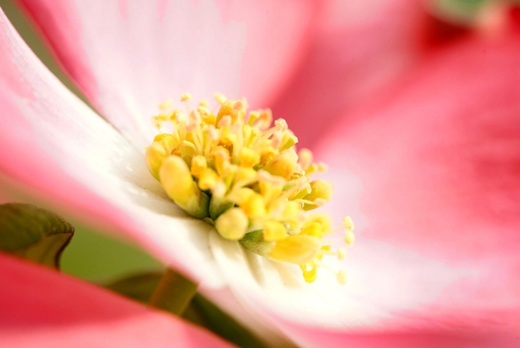 5月の定休日のお知らせ！　【RePURE】