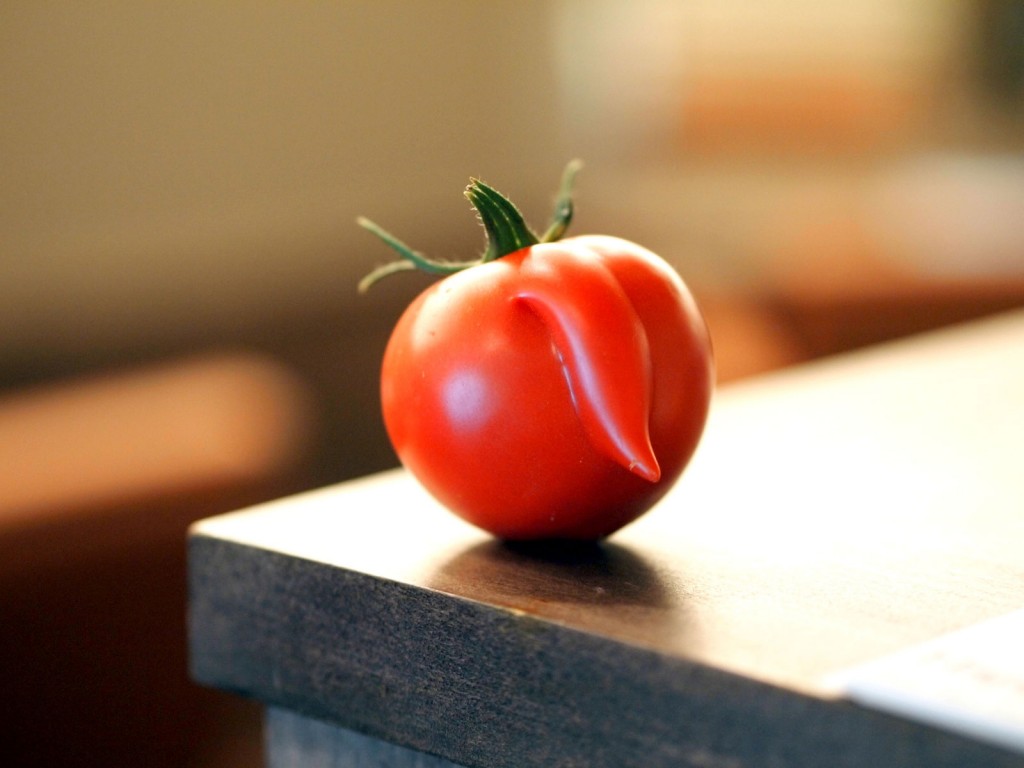 やすみのおやさい・移動販売【RePURE前】