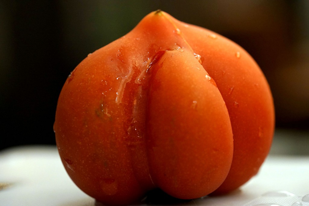 やすみのおやさい移動販売　[料金掲載の画像つき]