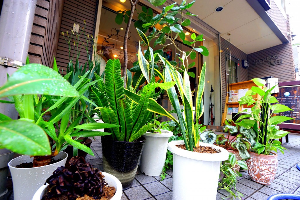 8月22日・23日は定休日です。【東京いってきます編】