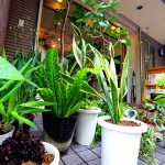 8月22日・23日は定休日です。【東京いってきます編】