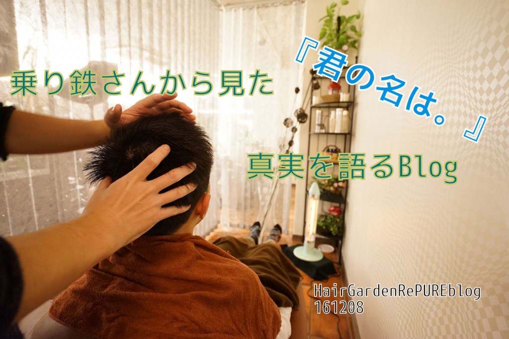 乗り鉄さんが見た『君の名は。』が・・・【真実を語る？編】