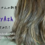 NavyAsh(キレイな青紫)で染めてみた【2017SS編】