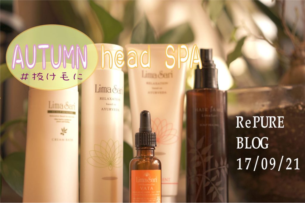 秋にするヘッドスパの目的！果たしてその真意とは？【真面目に】