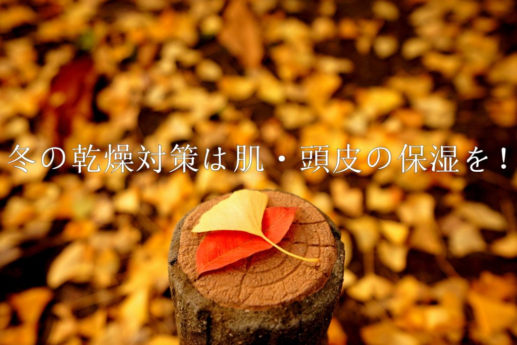 冬の乾燥対策と対策プロダクト【ビタミンEが大事】