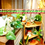 17年12月のサロンスケジュール【年末年始の営業】