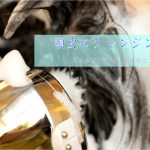 【毛穴のお掃除】炭酸クレンジングコースが進化中!