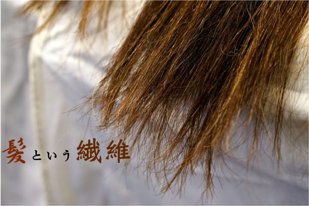 枝毛＝切らないといけないのか？　という悩み。