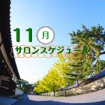 2020/11月　サロンスケジュール+新商品追加♪