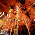 2020年12月サロンスケジュールと年末年始のお知らせ