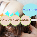 ウエットスパで使える！ハイブリッドスパについて説明してきます